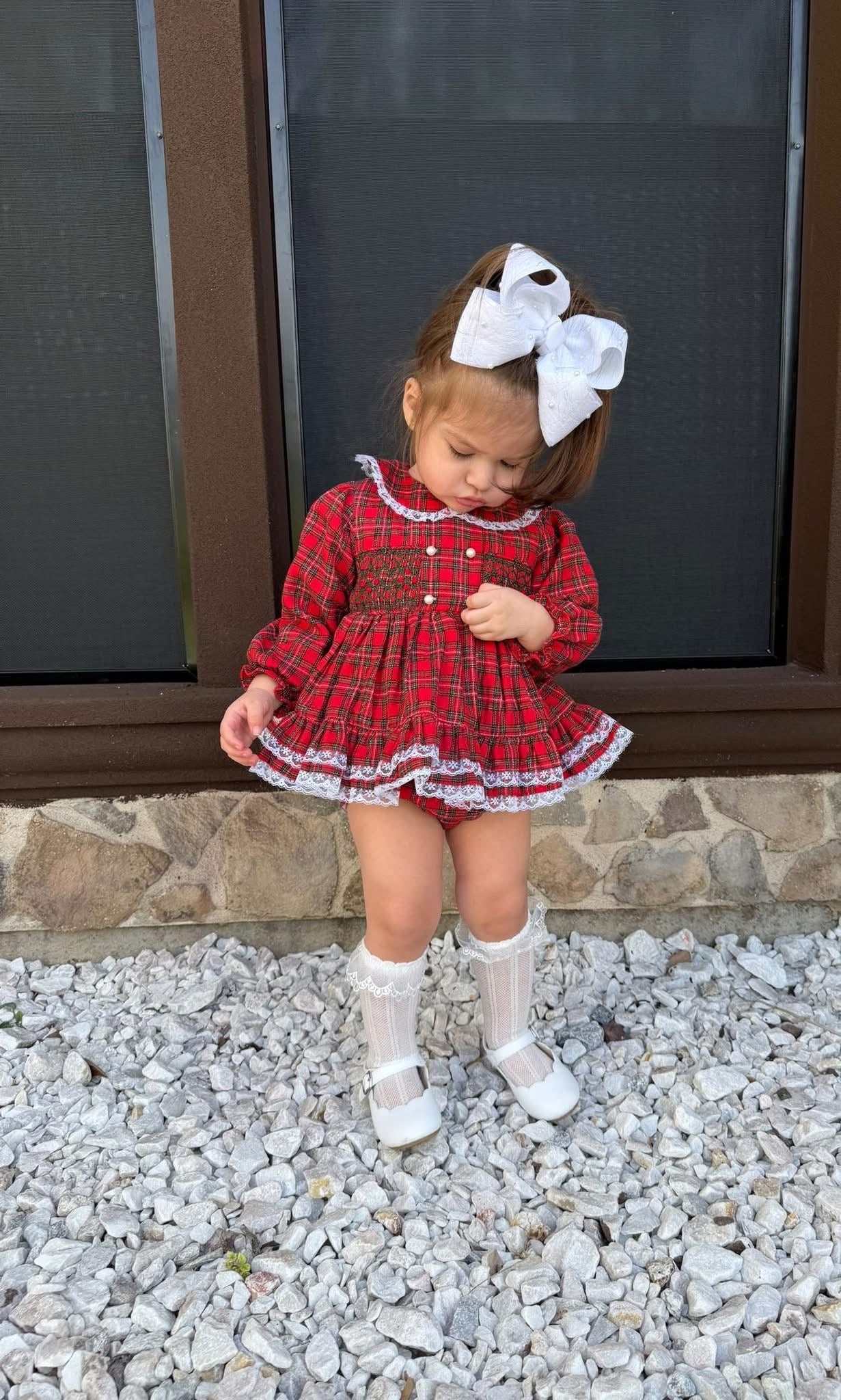 CLASSIC CHRISTMAS BLOOMER SET (ETA: OCTOBER TO LYS) (NOVEMBER TO LYS 2nd Round)